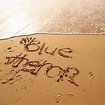 Blue Heron Boutique Motel