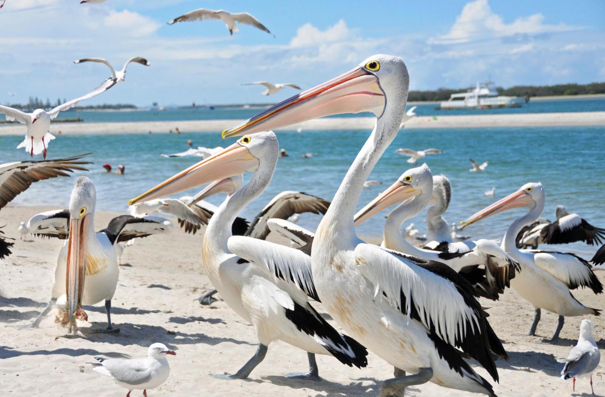 16 Sleep Family Group Getaway *