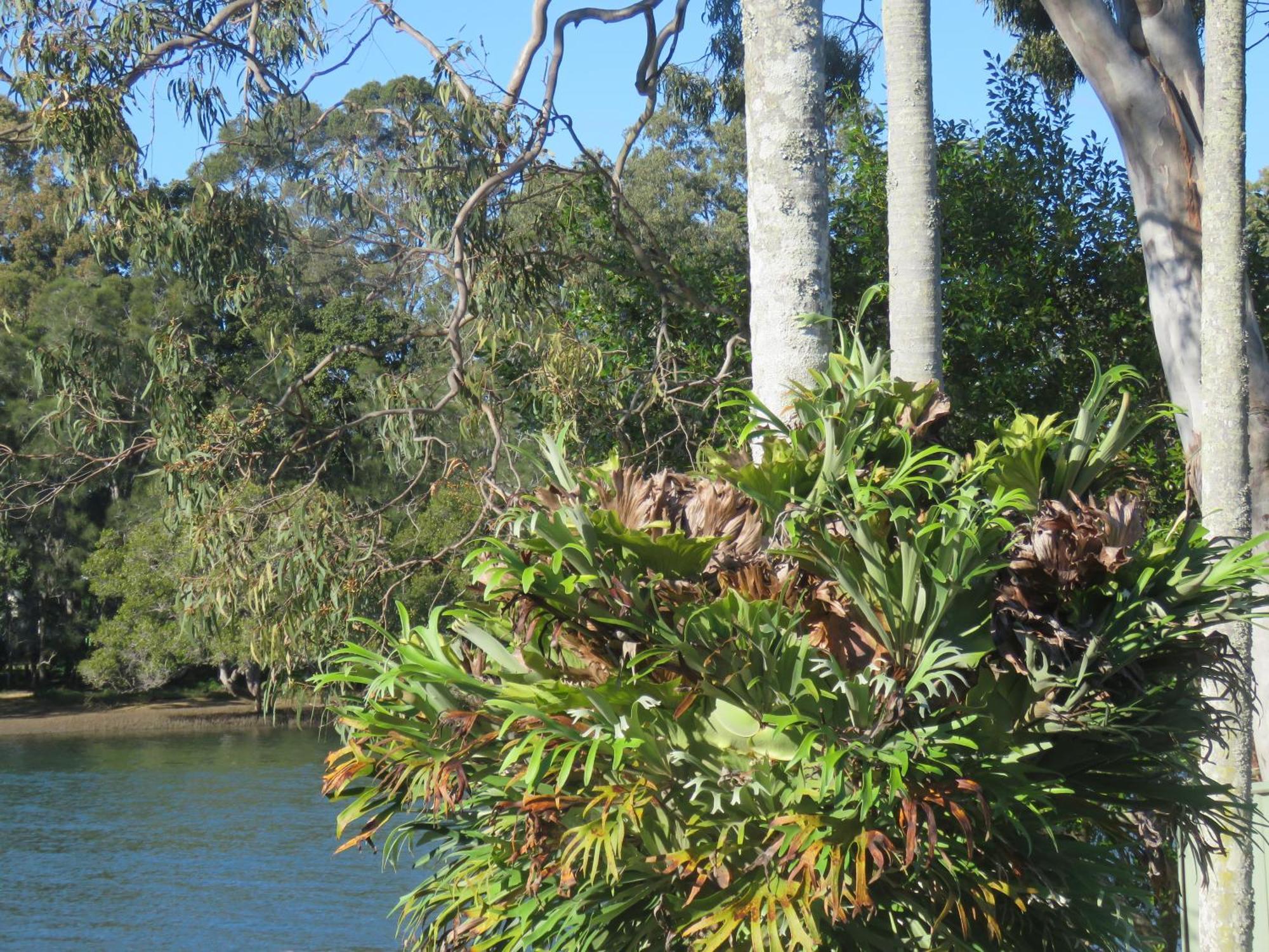 Waterfront House In Currumbin