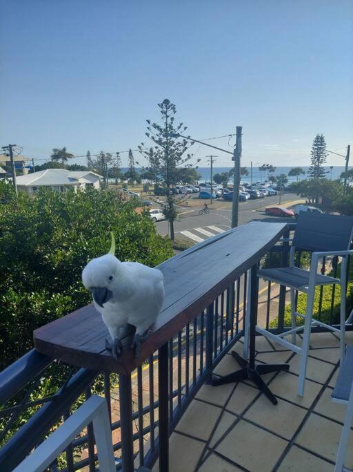 Apartment Beachfront Bliss *