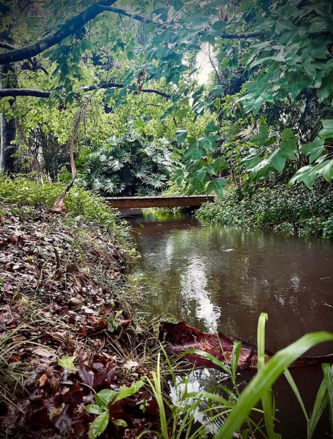 Holiday home Intimate Rainforest Retreat - Adults Only *