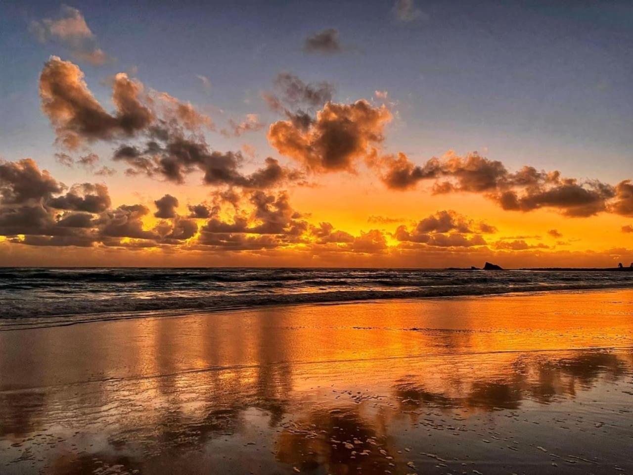 2867hps The Marine In Palm 2b Gold Coast