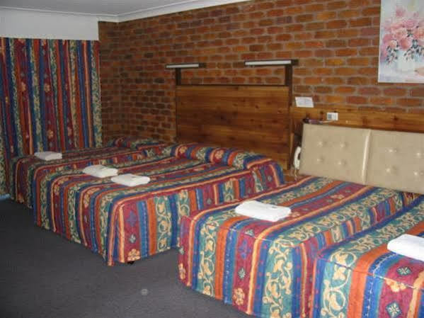 Red Star Palm Gold Coast