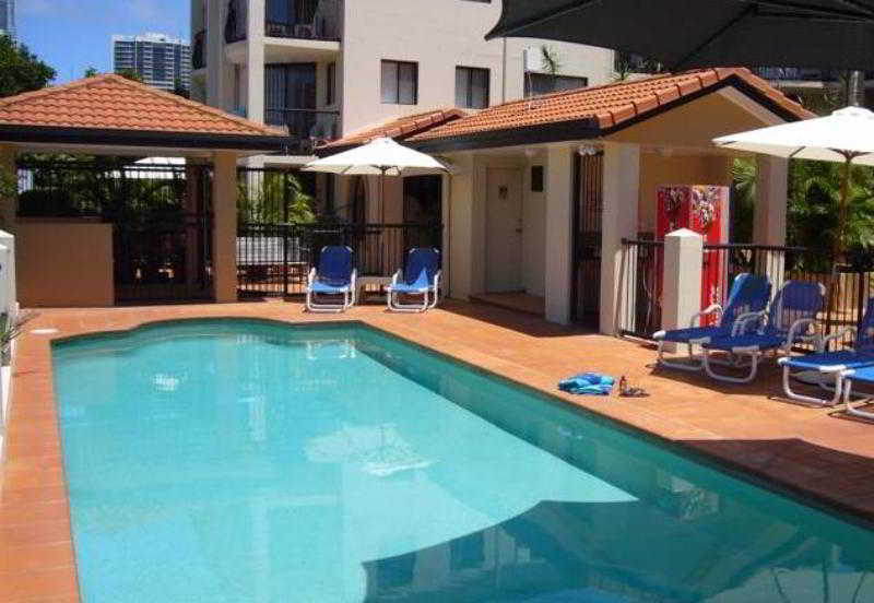 Chevron Palms By Premium