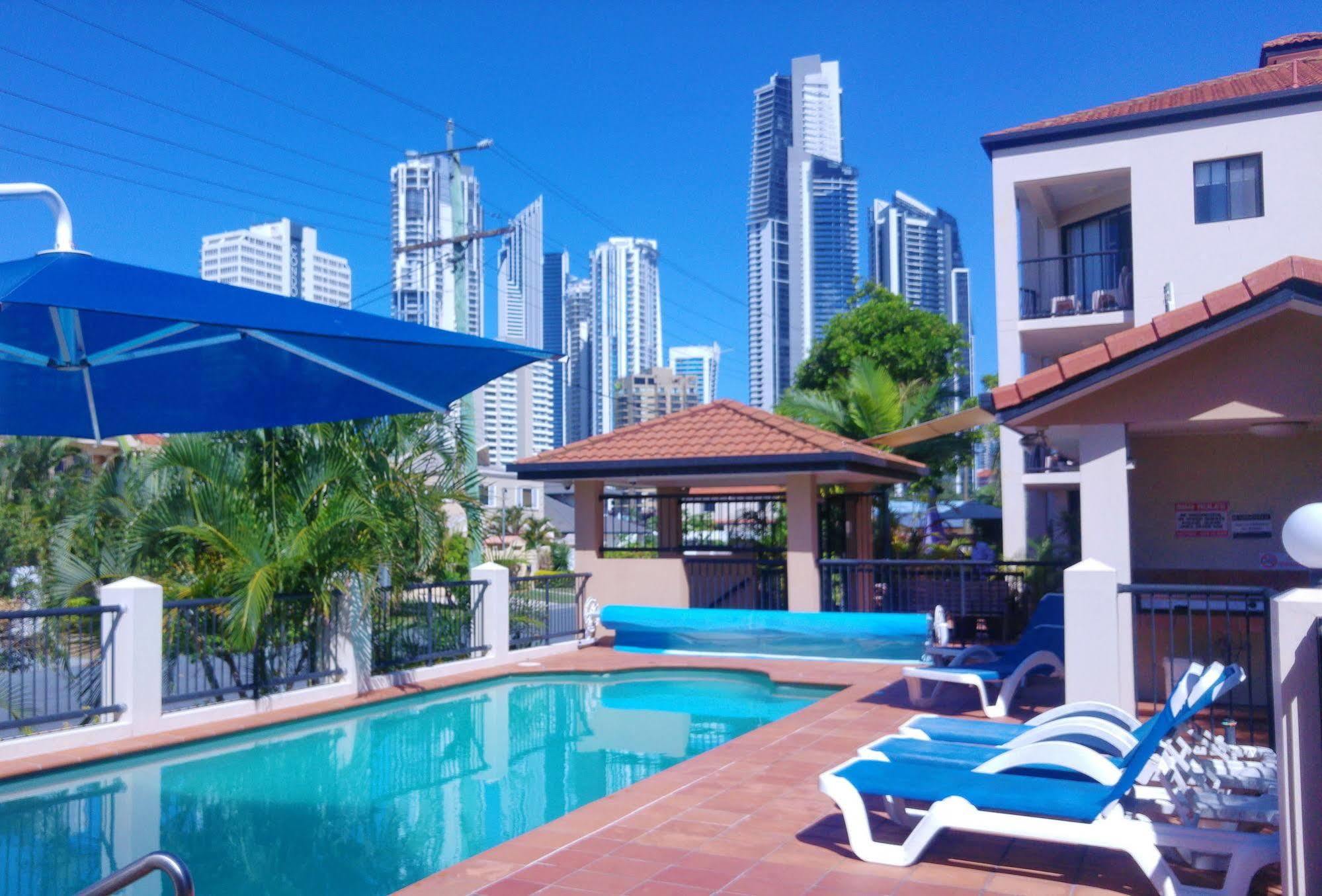 Chevron Palms By Premium