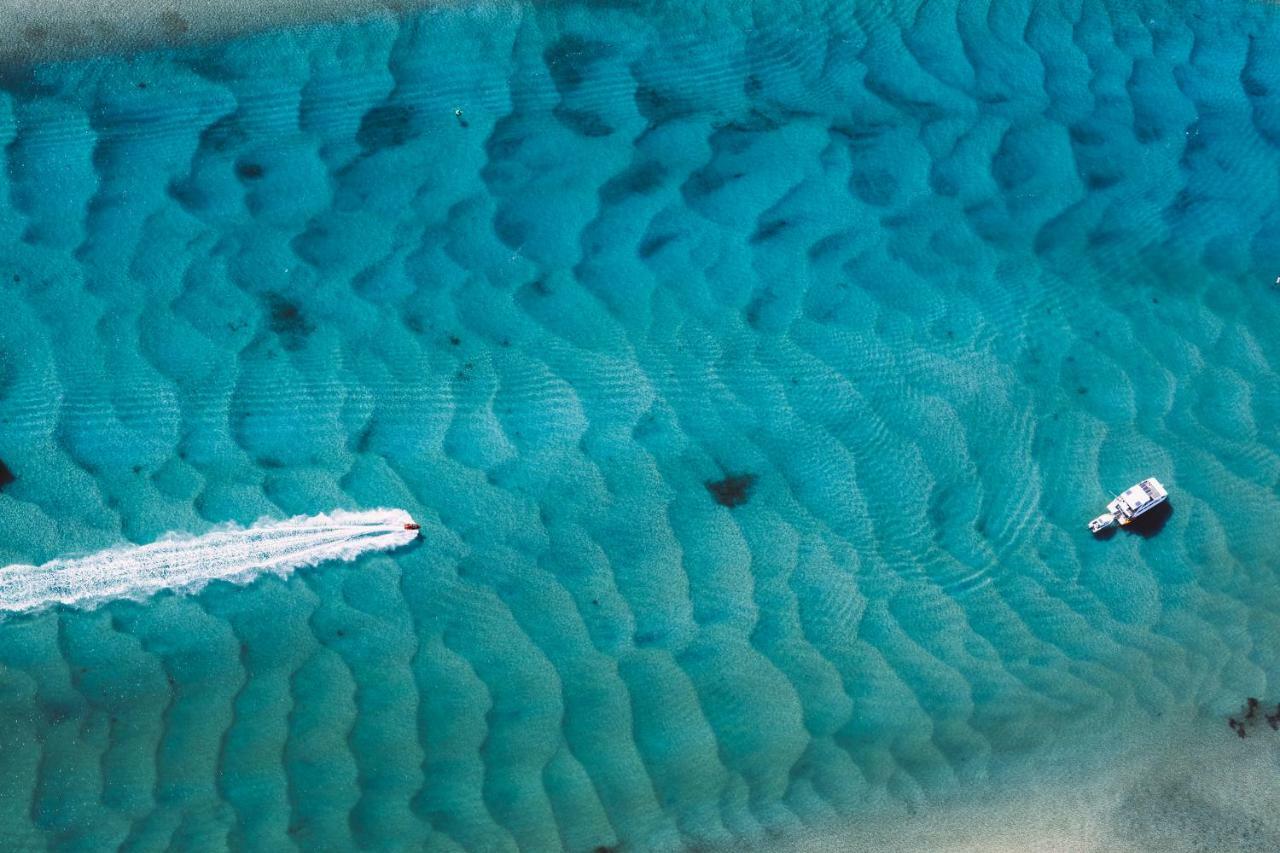Kirra Surf