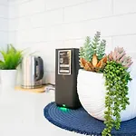 Hola Kirra - Ocean Blue Beachfront Oasis With Balcony