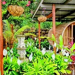Healing Garden Bed & Breakfast - Ubud