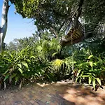 2-Bed Beach House In Burleigh Heads Amidst Nature