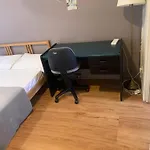 Sky Bnb Room With Own Bathroom