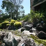 The Bearded Dragon Boutique Hotel