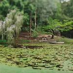 Ecostudio Fellini