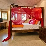Casa Albero Via Roma