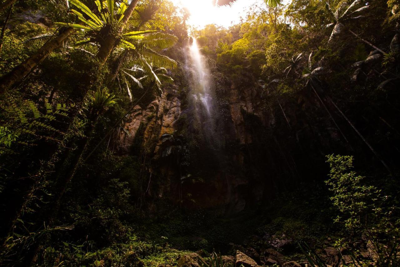 Binna Burra Rainforest Campsite Campsite Gold Coast