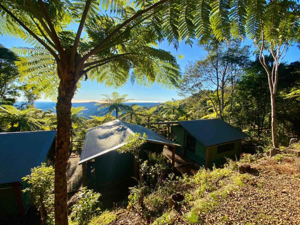 Campsite Binna Burra Rainforest Campsite