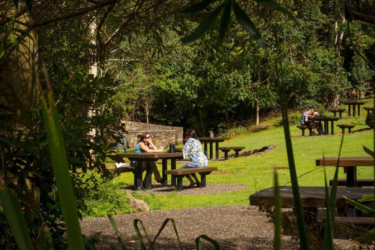 Binna Burra Rainforest Campsite Gold Coast