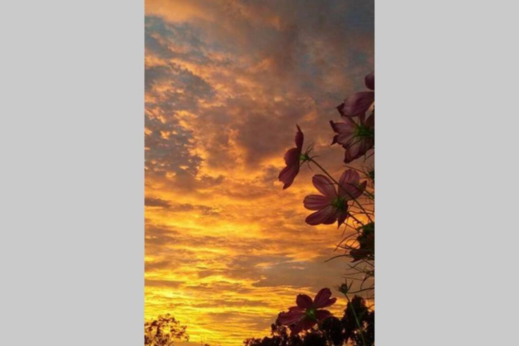 The House Of The Rising Sun *