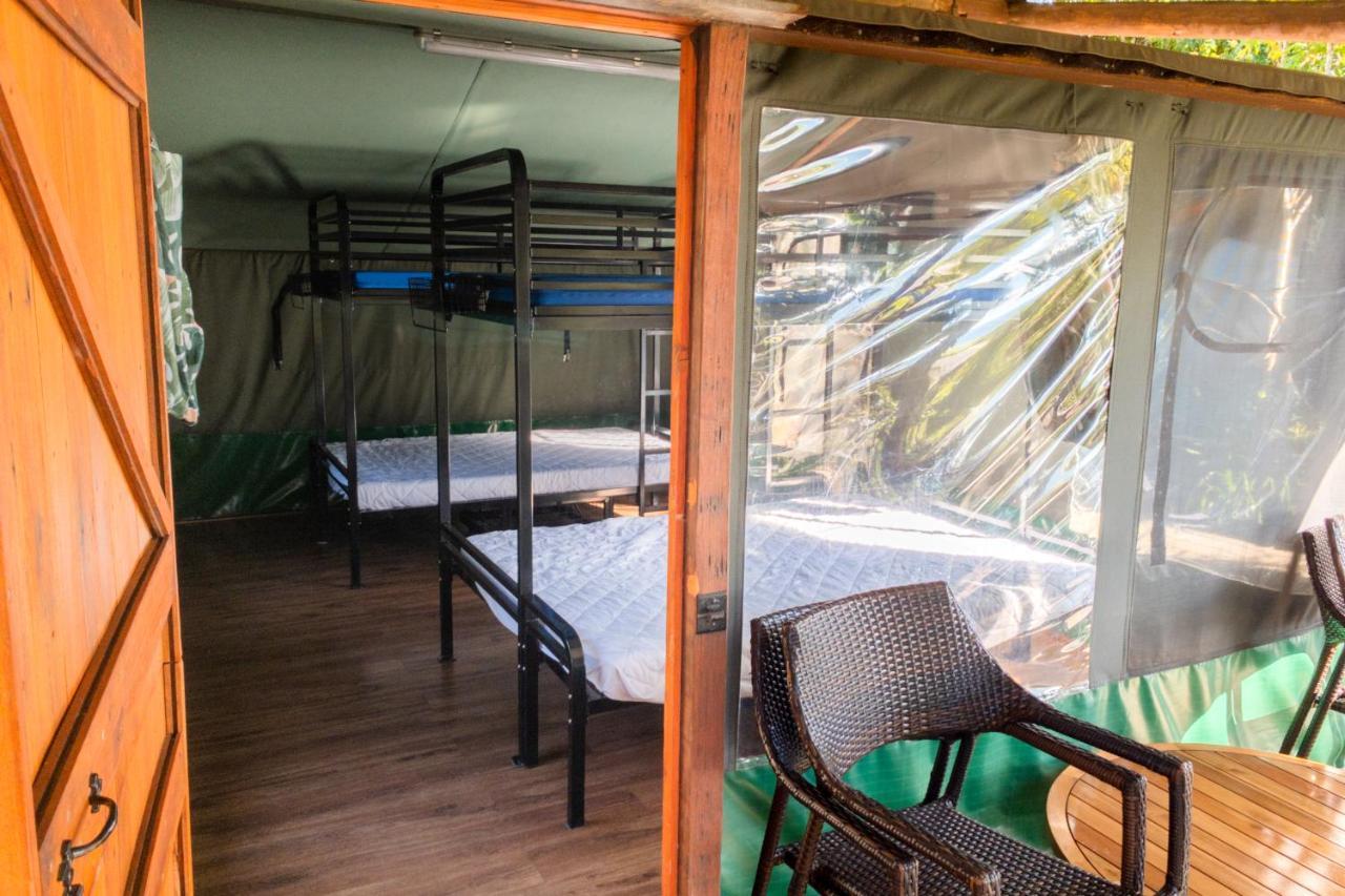 Binna Burra Rainforest Campsite * Gold Coast