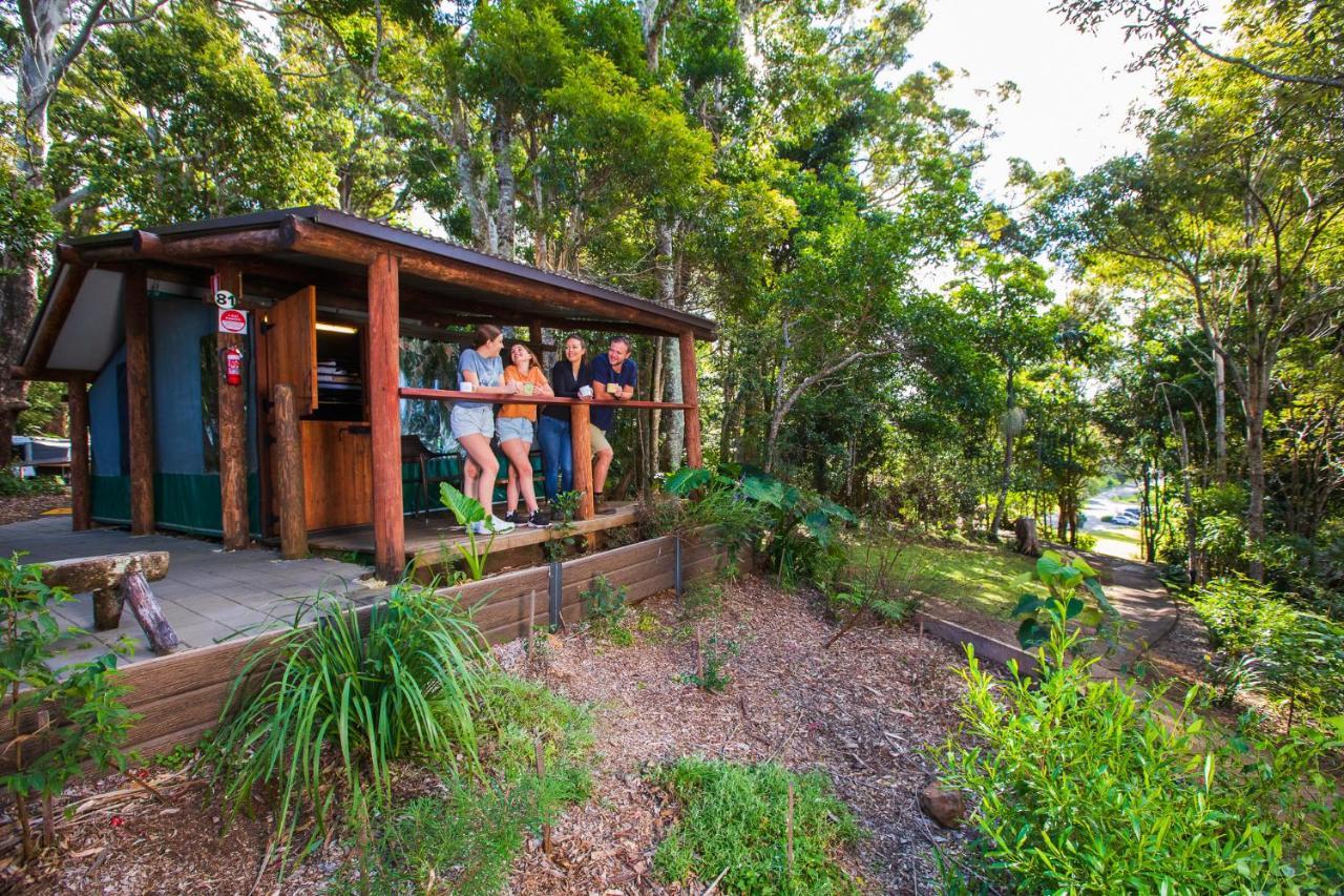 Binna Burra Rainforest Campsite Campsite *