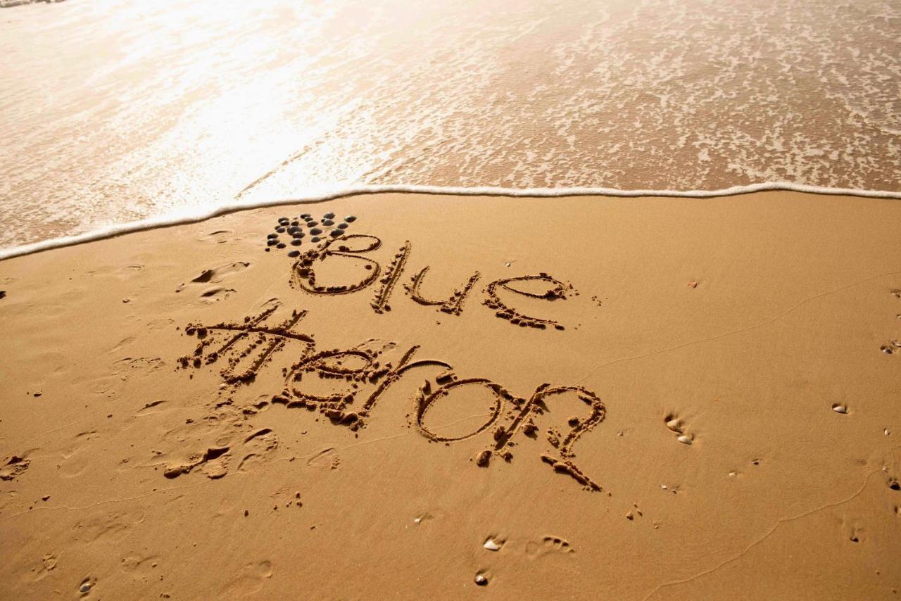 Blue Heron Boutique Motel Gold Coast