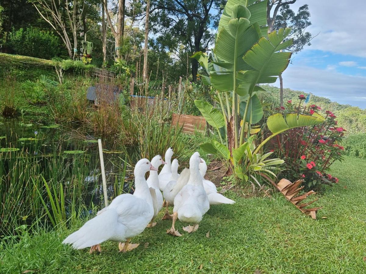 The House Of The Rising Sun Holiday home *