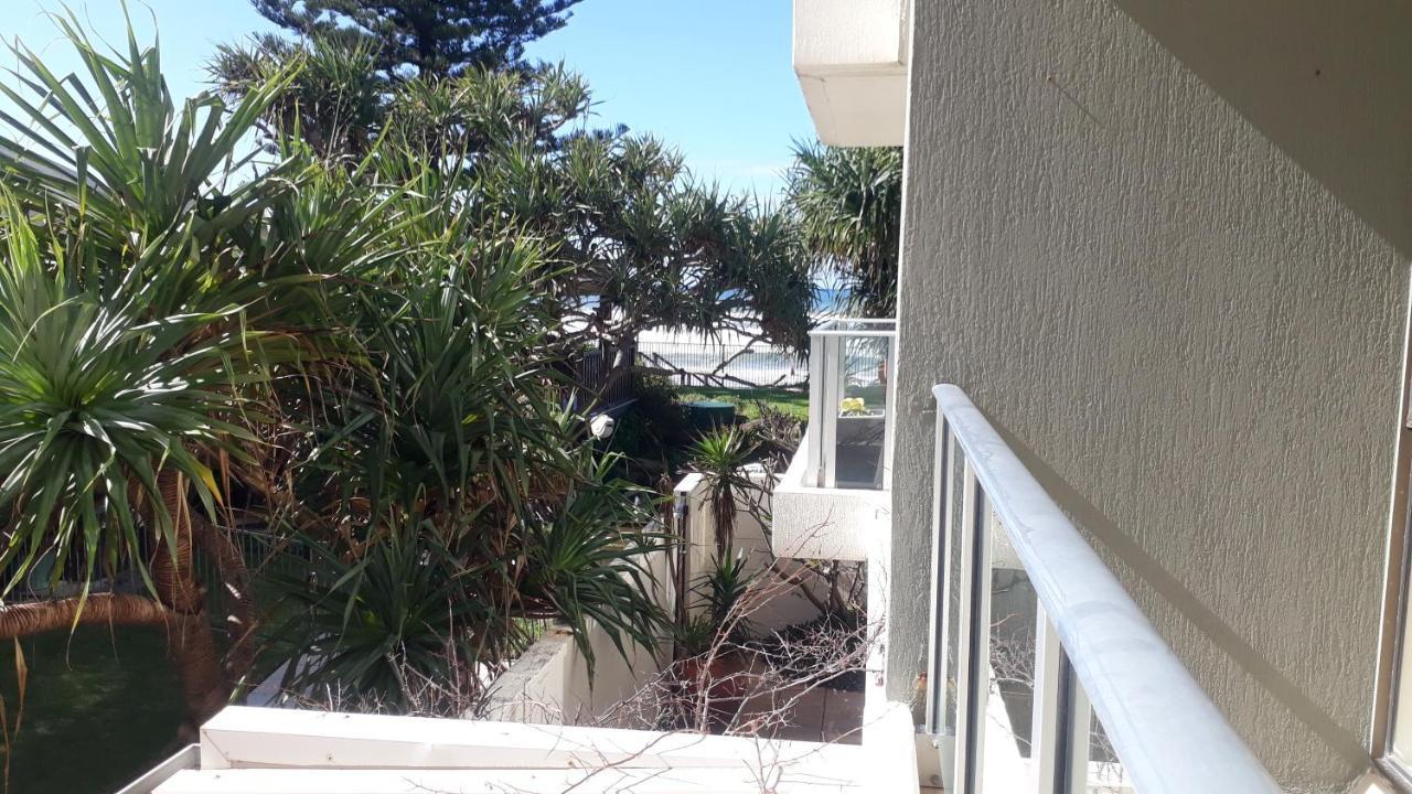 Hibiscus On The Gold Coast