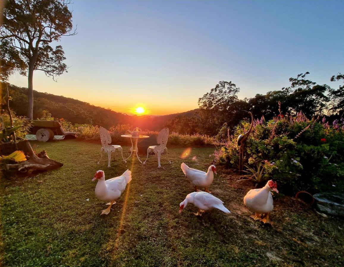 The House Of The Rising Sun Gold Coast