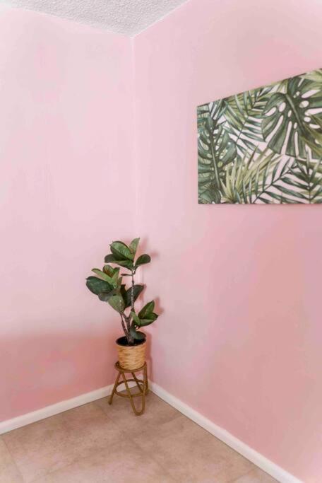 Paradise 31 - Pink Oasis In The Heart Of The Gc Apartment *