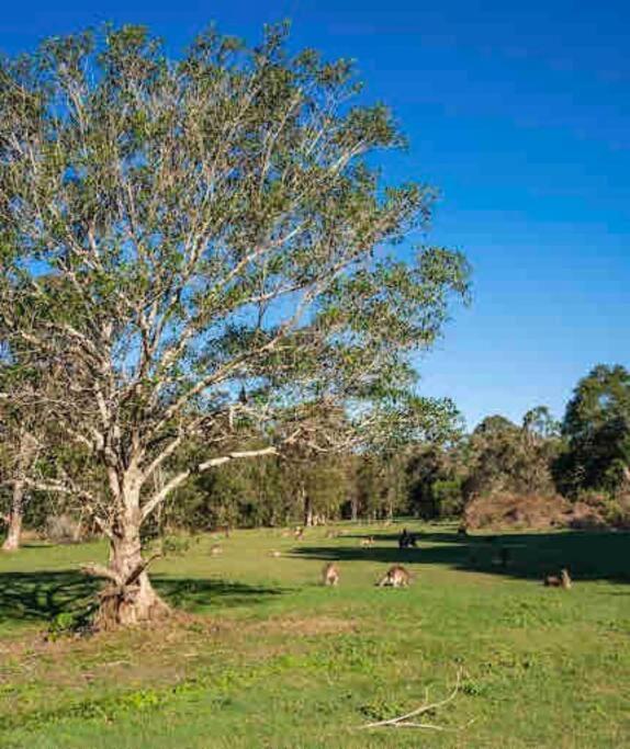 Family Friendly 4 Bedroom House Close To Parks * Gold Coast
