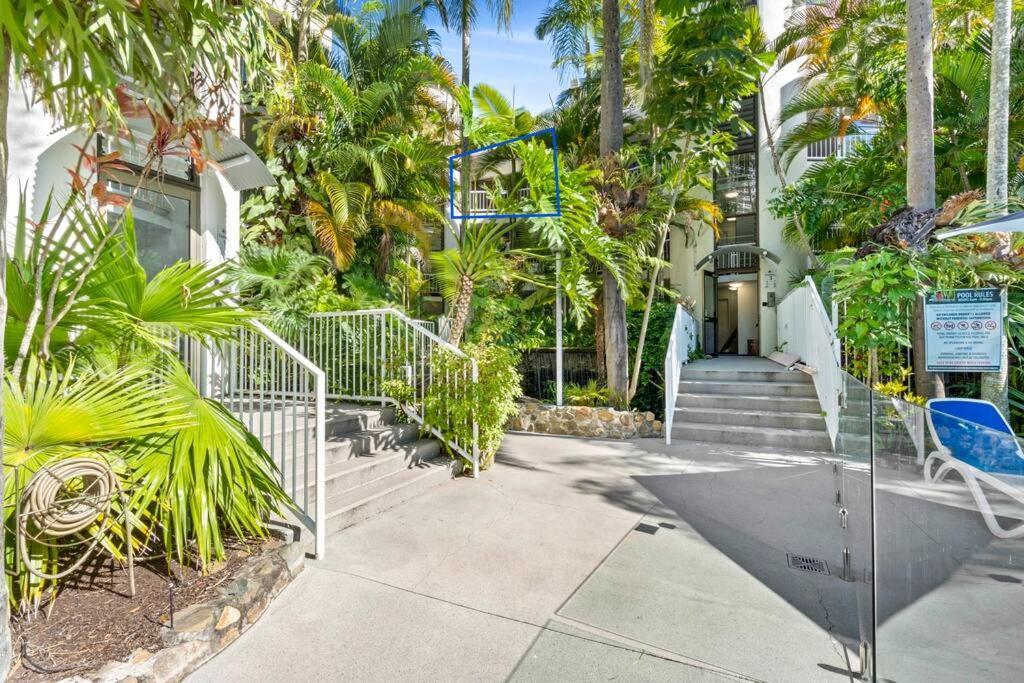 Coco Bella Dream In Surfers Paradise