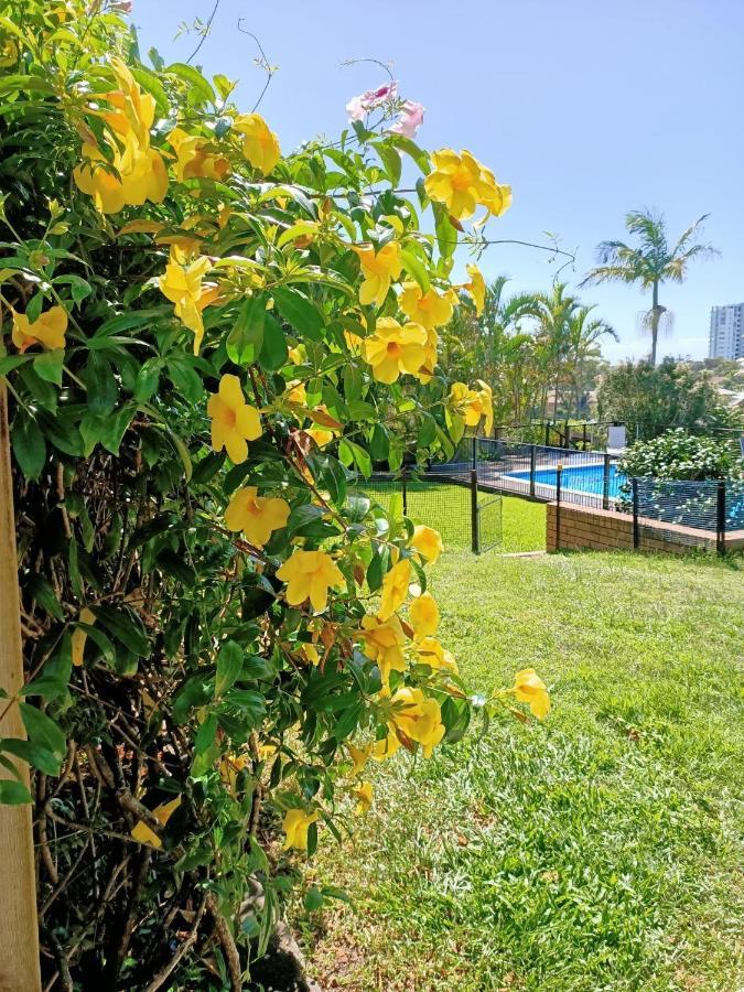 With Views & Pool *