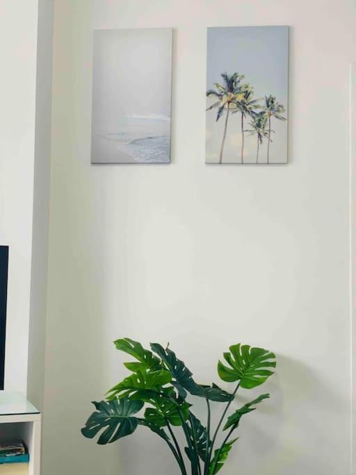 Seaview Chevron Renaissance Free Parking &free Wifi Gold Coast