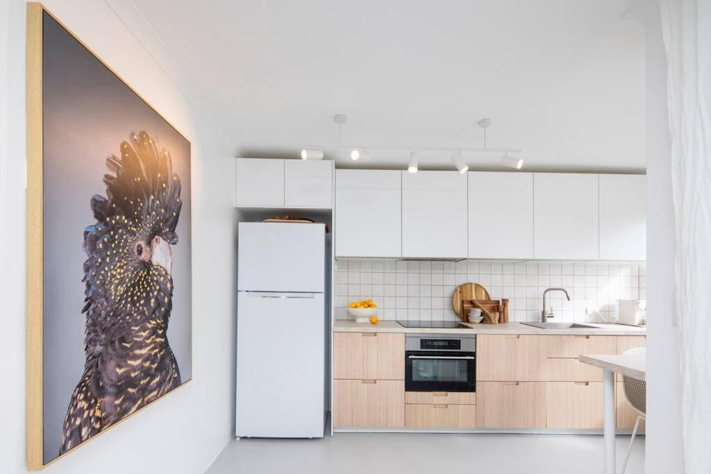 Freddies - Pet Friendly! Last Minute Discount! Apartment *