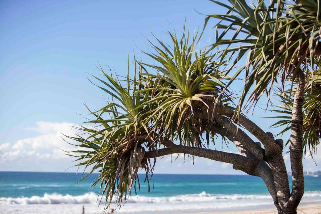 Casa de férias Jefferson House Gold Coast