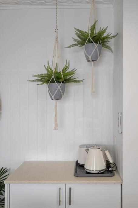 Boho Lux Burleigh Apartment *