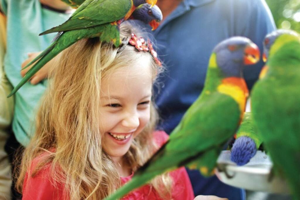 Entire Guest - Is 1 And Half Km - Pets Welcome Guest house *