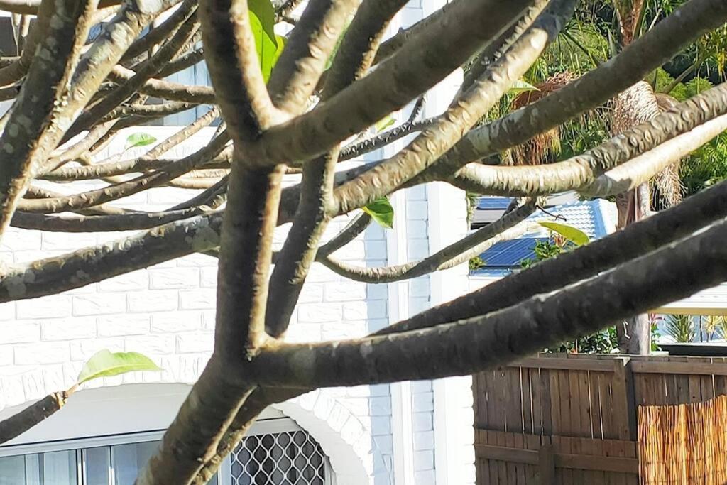 Entire Guest - Is 1 And Half Km - Pets Welcome Guest house *