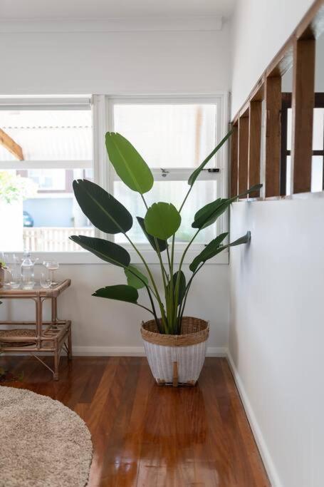 Boho Lux Burleigh Apartment Gold Coast