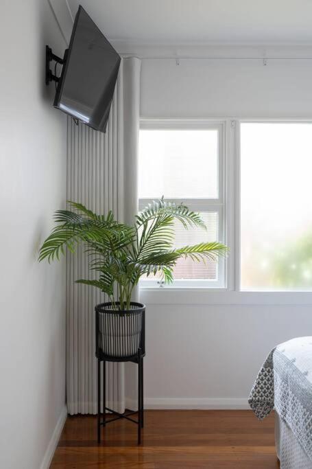 Boho Lux Burleigh Apartment Gold Coast