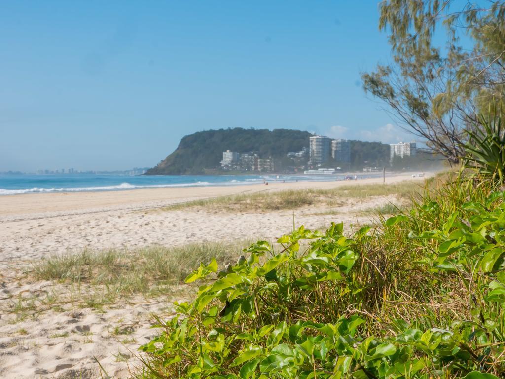 Burleigh Surf