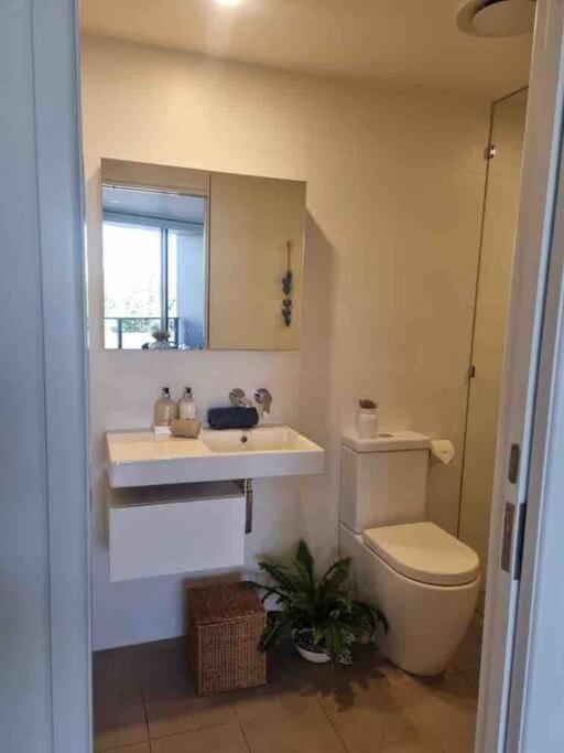 Modern 1 Brm With Pool Close To Beach Gold Coast
