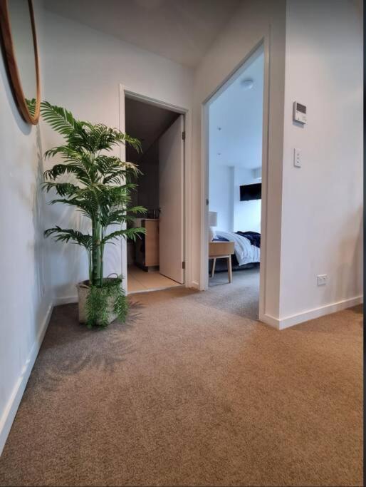 Broadbeach Stunner Modern And * Gold Coast