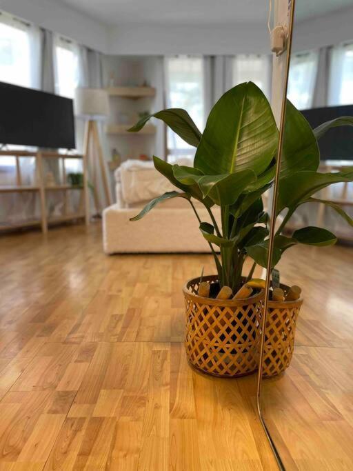 Apartment Trickett Street Hideaway