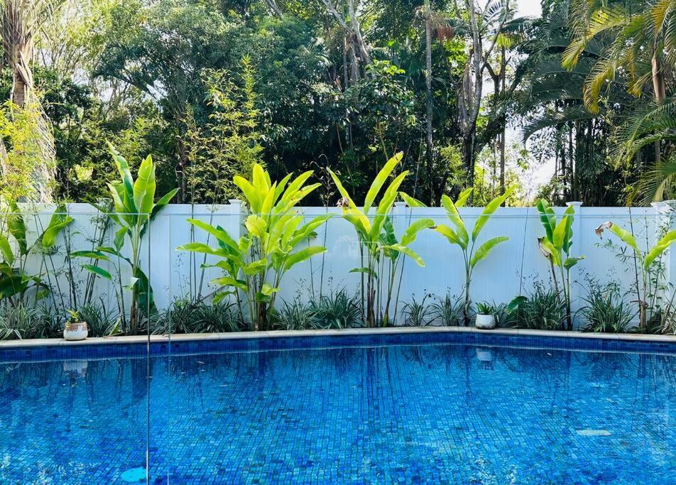 Conifer * Gold Coast