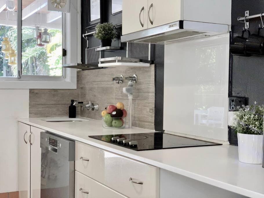 Conifer Apartment Gold Coast
