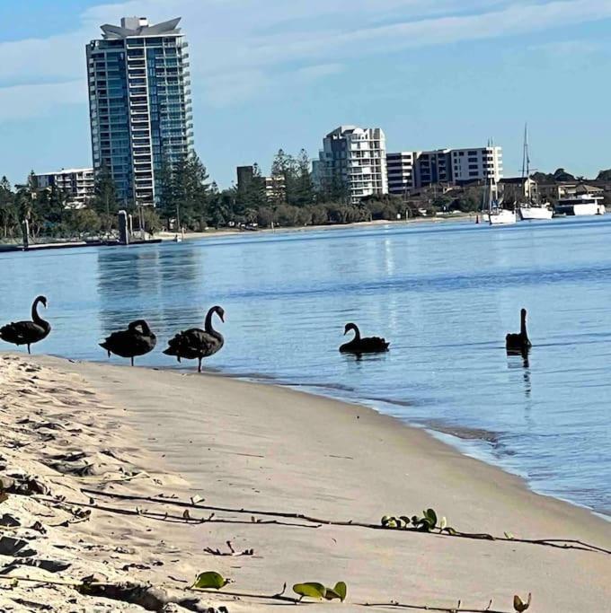 Broadwater Parklands Paradise-one & Two Bedroom Apartment