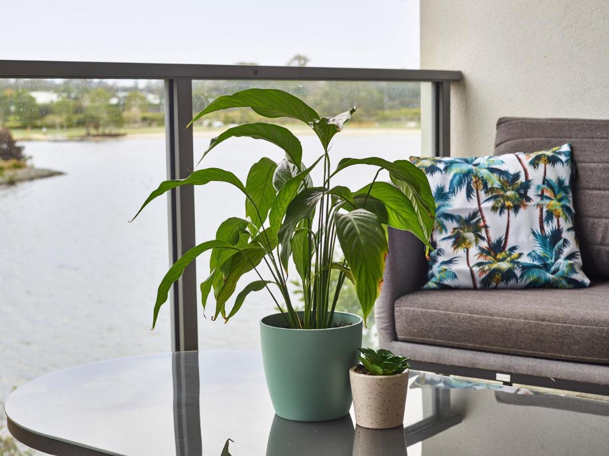 Emerald Lakes 3 Level * Gold Coast