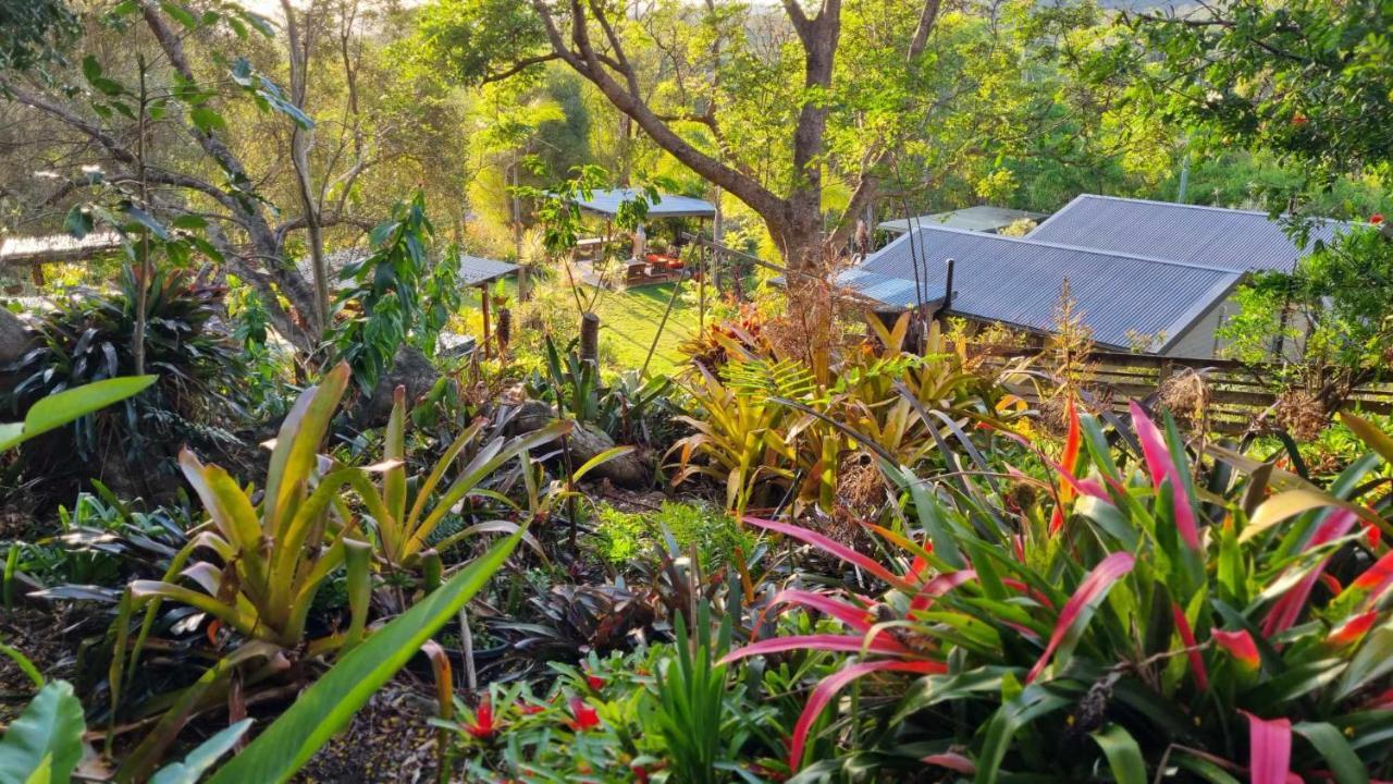 Guest house Healing Garden - Ubud Gold Coast