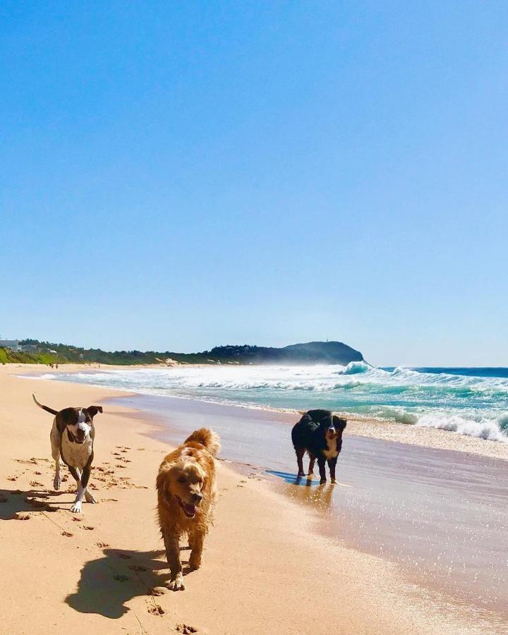 Apartment Surf Shack In Iconic Rainbow Bay - Coolangatta Qld Gold Coast
