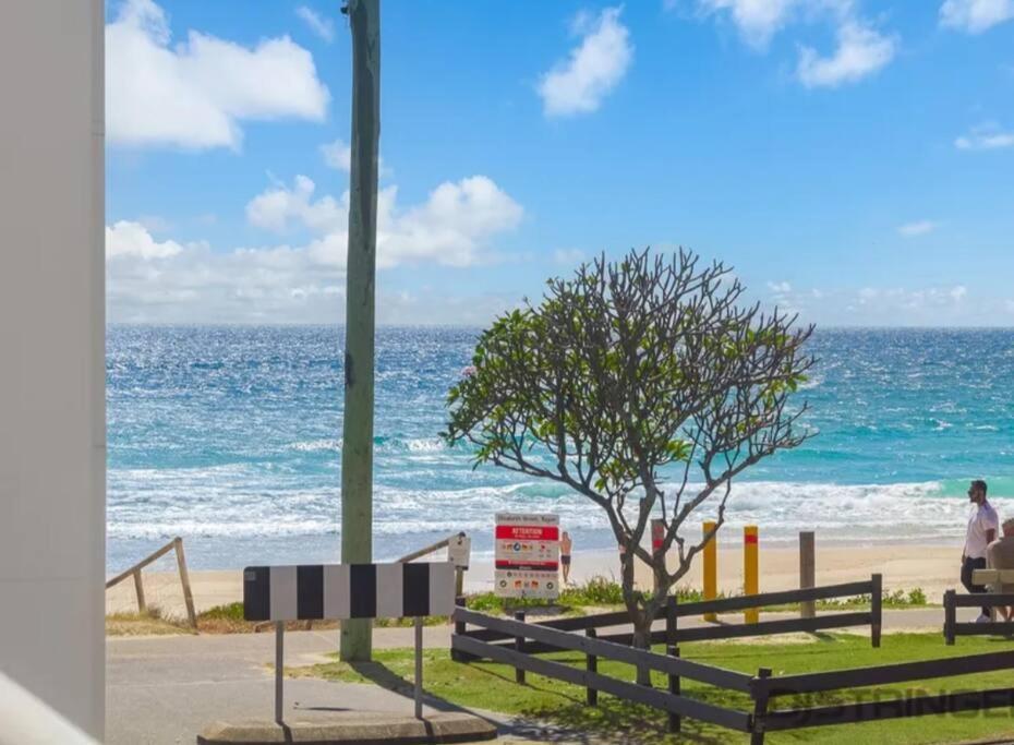 Palms On Tugun